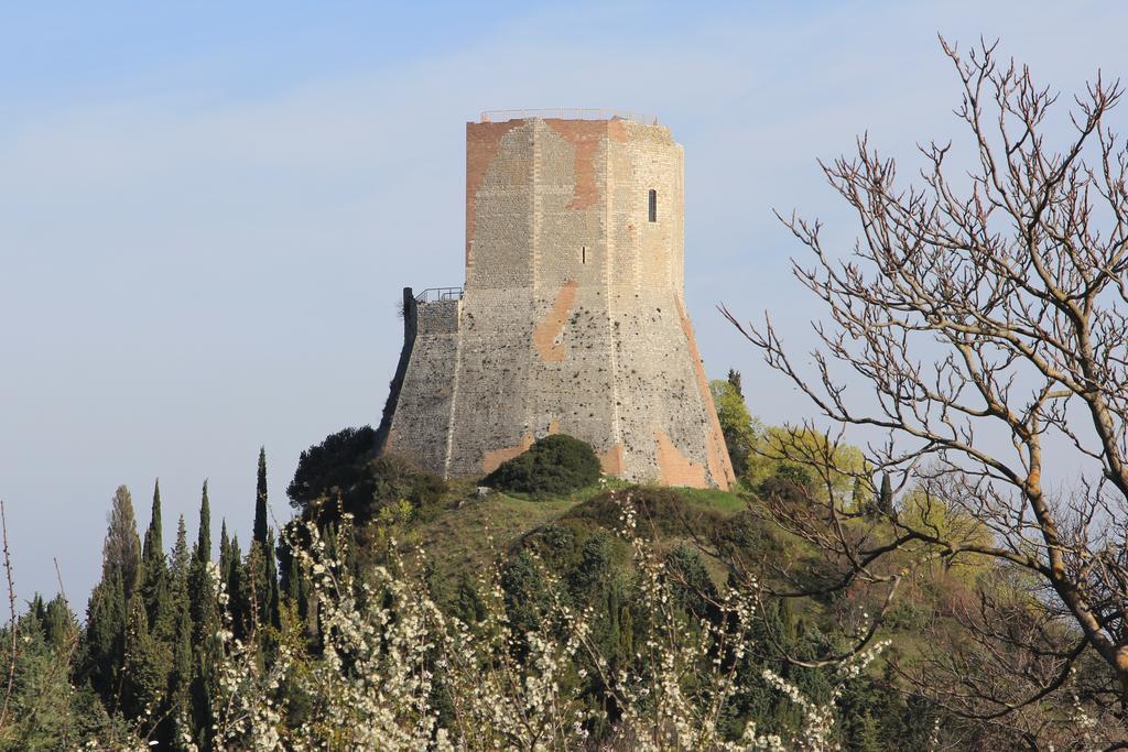 Апартаменти La Terrazza Sulla Val D'Orcia Кастільйоне-д'Орчія Екстер'єр фото