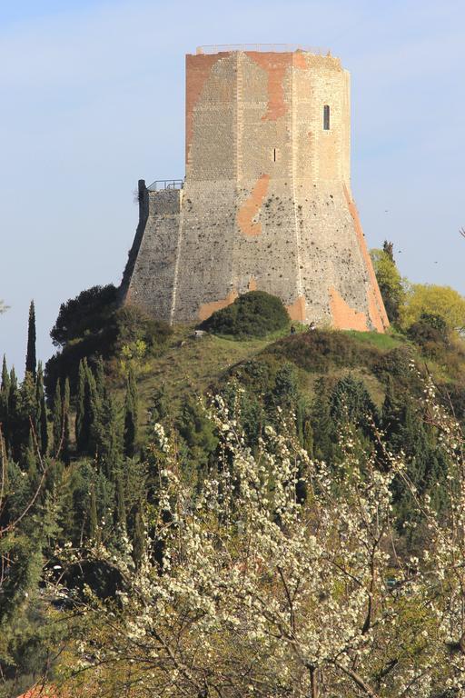 Апартаменти La Terrazza Sulla Val D'Orcia Кастільйоне-д'Орчія Екстер'єр фото