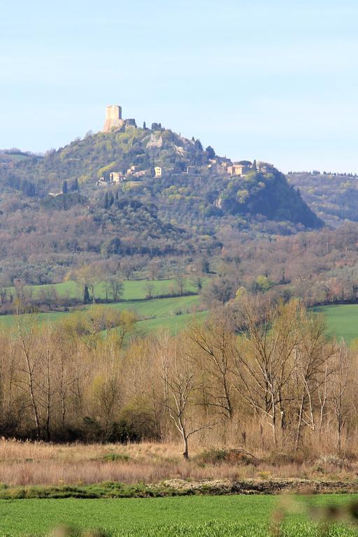 Апартаменти La Terrazza Sulla Val D'Orcia Кастільйоне-д'Орчія Екстер'єр фото