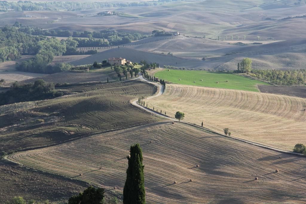 Апартаменти La Terrazza Sulla Val D'Orcia Кастільйоне-д'Орчія Екстер'єр фото