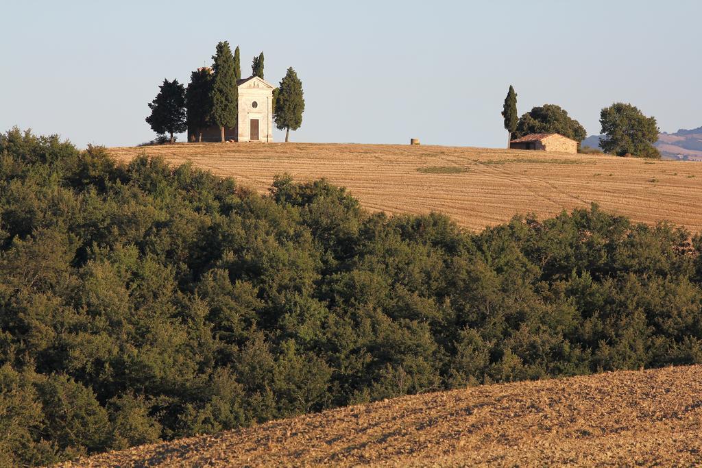 Апартаменти La Terrazza Sulla Val D'Orcia Кастільйоне-д'Орчія Екстер'єр фото