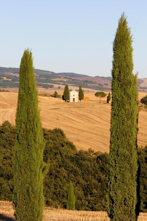 Апартаменти La Terrazza Sulla Val D'Orcia Кастільйоне-д'Орчія Екстер'єр фото