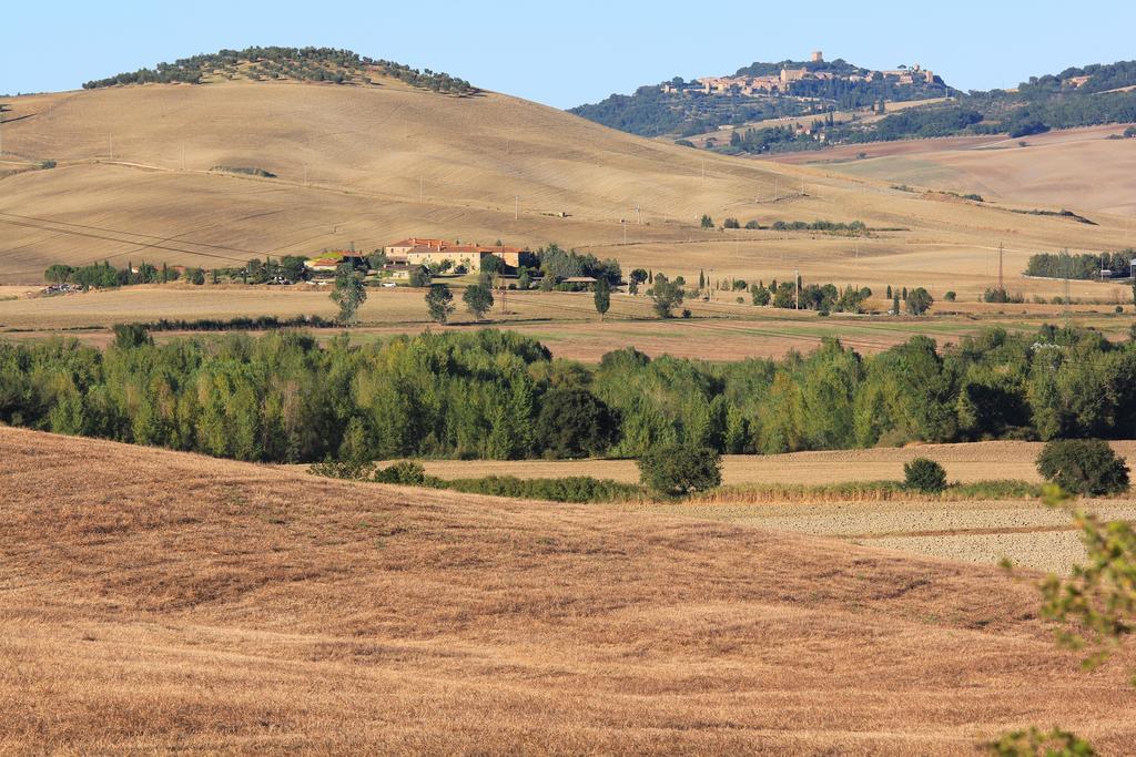 Апартаменти La Terrazza Sulla Val D'Orcia Кастільйоне-д'Орчія Екстер'єр фото