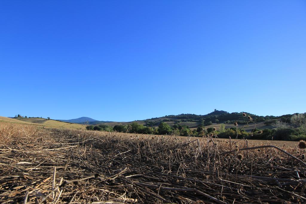 Апартаменти La Terrazza Sulla Val D'Orcia Кастільйоне-д'Орчія Екстер'єр фото
