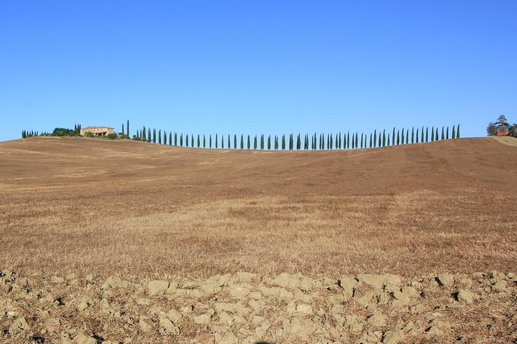 Апартаменти La Terrazza Sulla Val D'Orcia Кастільйоне-д'Орчія Екстер'єр фото