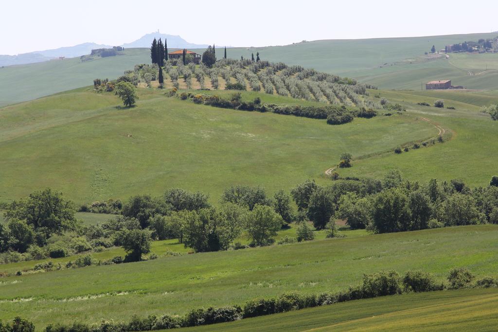 Апартаменти La Terrazza Sulla Val D'Orcia Кастільйоне-д'Орчія Екстер'єр фото
